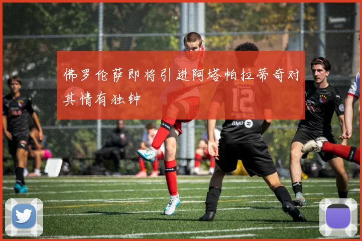佛罗伦萨即将引进阿塔帕拉蒂奇对其情有独钟