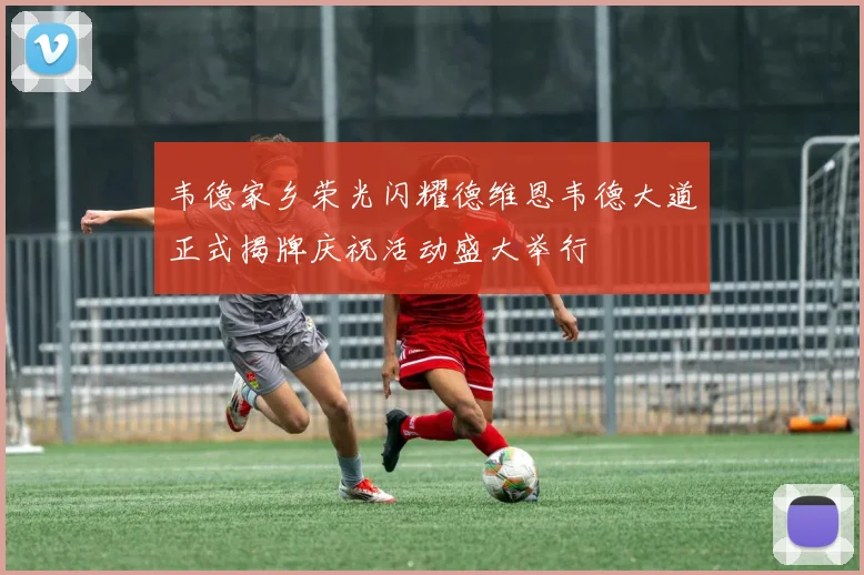 韦德家乡荣光闪耀德维恩韦德大道正式揭牌庆祝活动盛大举行